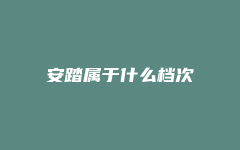 安踏属于什么档次