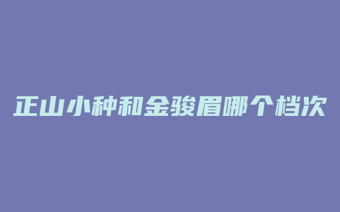 正山小种和金骏眉哪个档次高